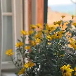La Casetta Di Borgo Apartamento Lajatico
